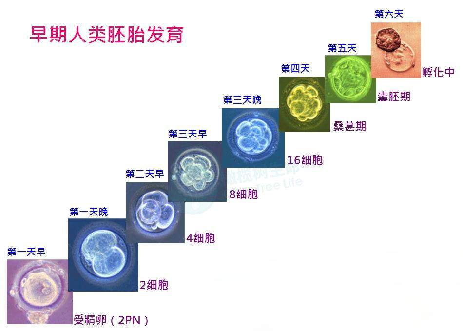 6371999443318678118288274.jpg