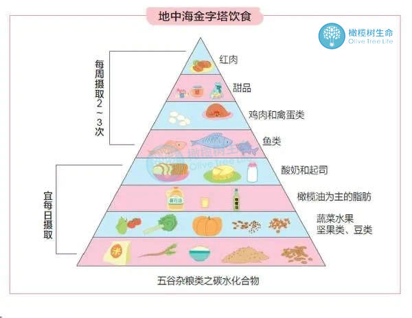 养卵先养线粒体，这是我听过养线粒体最简单的方法！
