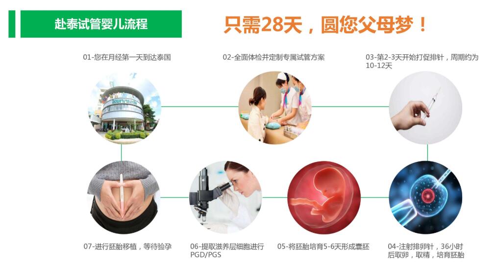 橄榄树生命泰国试管婴儿流程.jpg