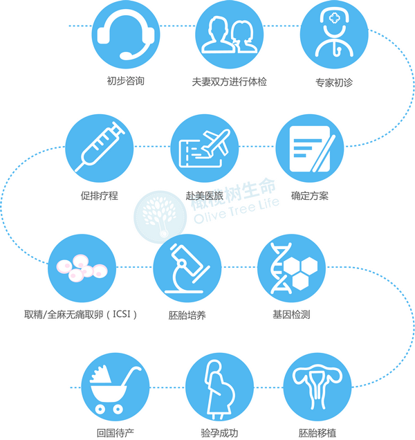 橄榄树生命美国试管婴儿流程