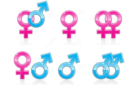 人类的六大类性别