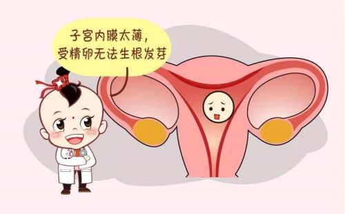 子宫内膜进行调理。