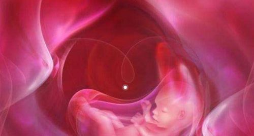 胚胎移植费用