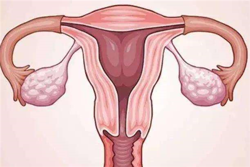 子宫内膜厚度对怀孕的影响.png