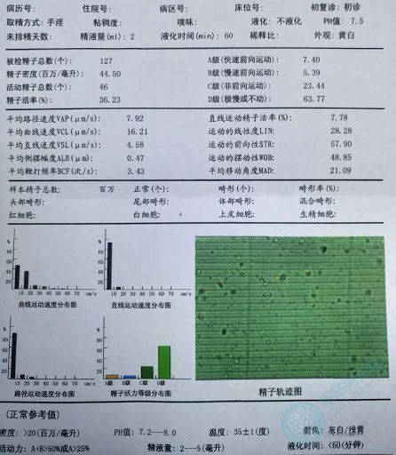 精液检查报告_副本.jpg