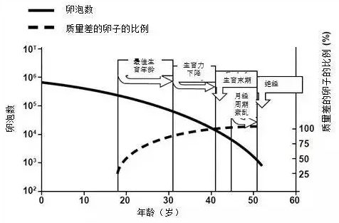 橄榄树生命——卵子质量下降