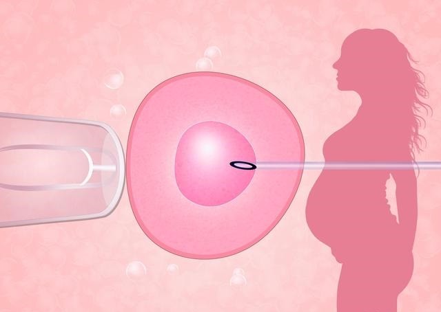 橄榄树生命——胚胎取卵