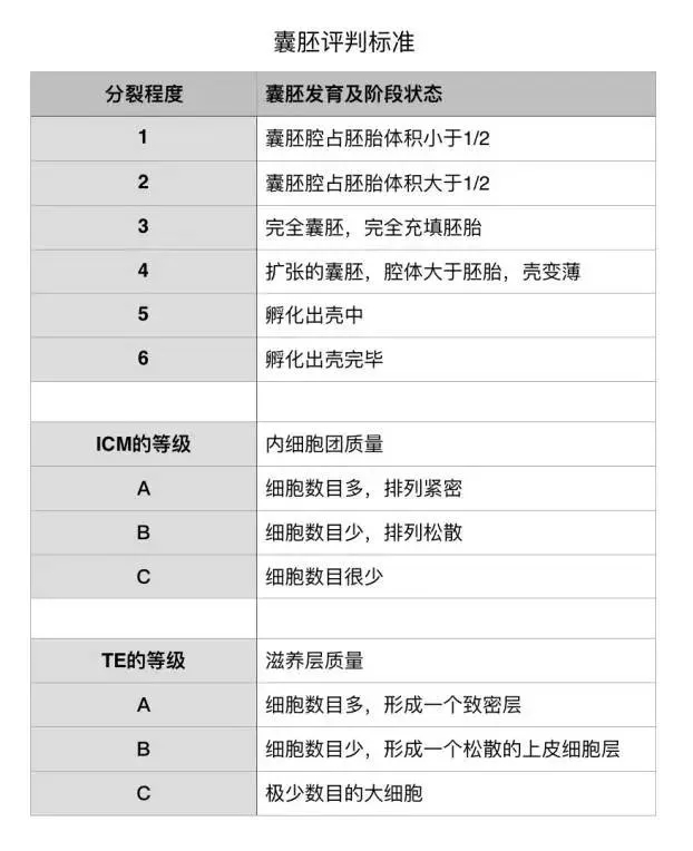 橄榄树生命——囊胚评判标准