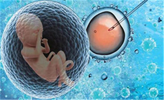 高龄女性做试管婴儿，一次应该移植几个胚胎？