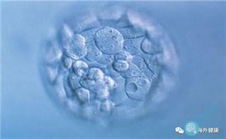 胚胎碎片率高意味着什么,泰国试管婴儿专家从哪些方面避免? 胚胎碎片率高意味着什么,泰国试管婴儿专家从哪些方面避免?