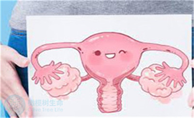 子宫内膜容受性降低