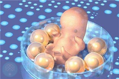 做试管婴儿，移植几个胚胎成功率比较高？