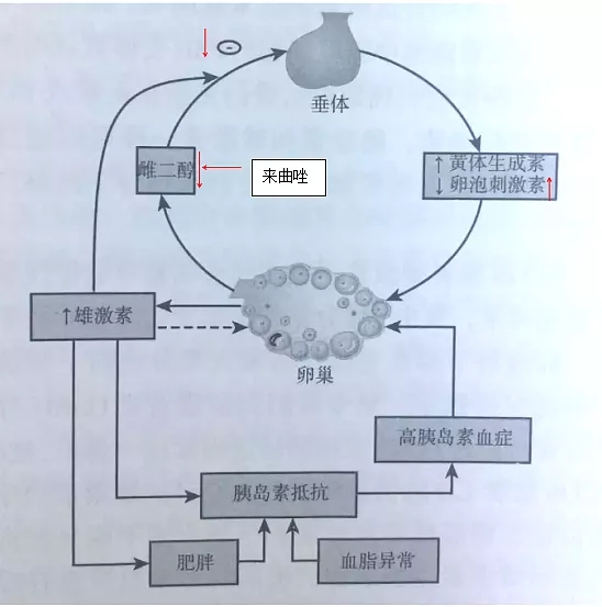 来曲挫作用原理