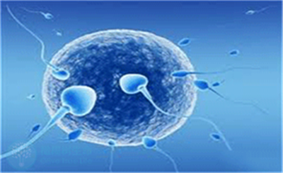 造成试管婴儿胚胎不着床的原因是什么？