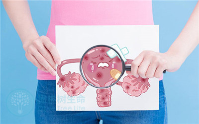 子宫内膜息肉不及时的治疗会导致不孕，做试管的成功率高吗