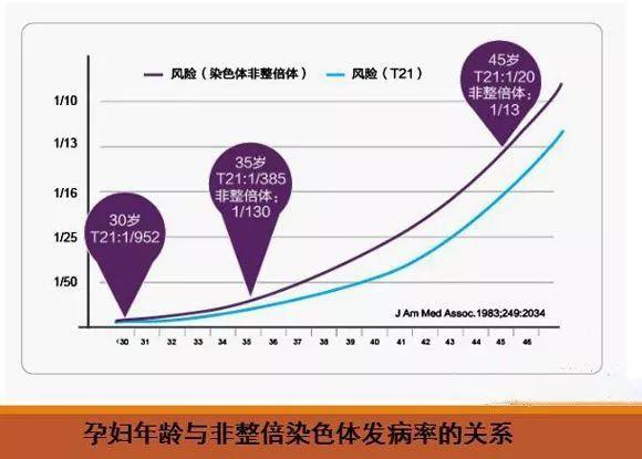 染色体和年龄的关系