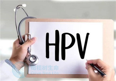 HPV阳性怎么办？感染了HPV就会得宫颈癌吗？