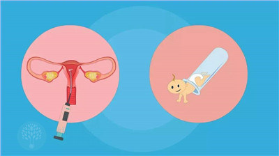患有慢性宫颈炎，做试管婴儿会影响胚胎着床吗？