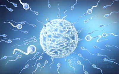 泰国试管婴儿助孕师：哪些因素会导致胚胎出现碎片？