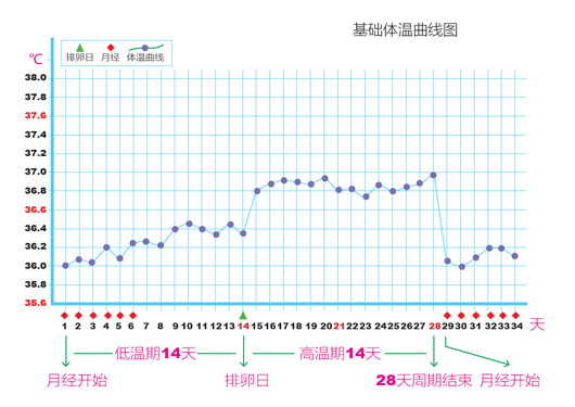 基础体温测定(BBT)