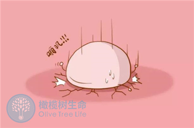 如何预防试管婴儿移植成功后胚胎生化停育