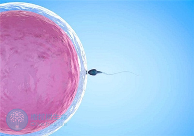 精子DNA碎片率高不孕，可通过第三代试管技术成交爸业