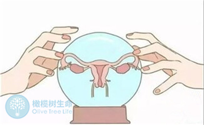 女性宫腔积水是因为哪些原因而导致试管包成功的？