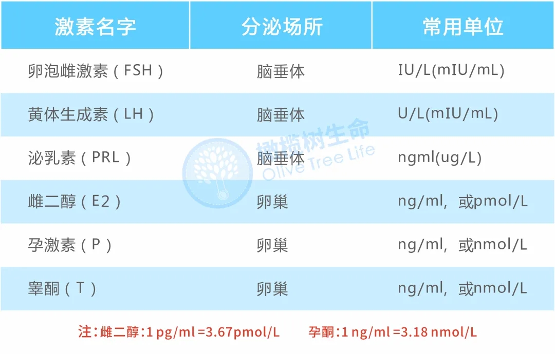 性激素六项检查报告