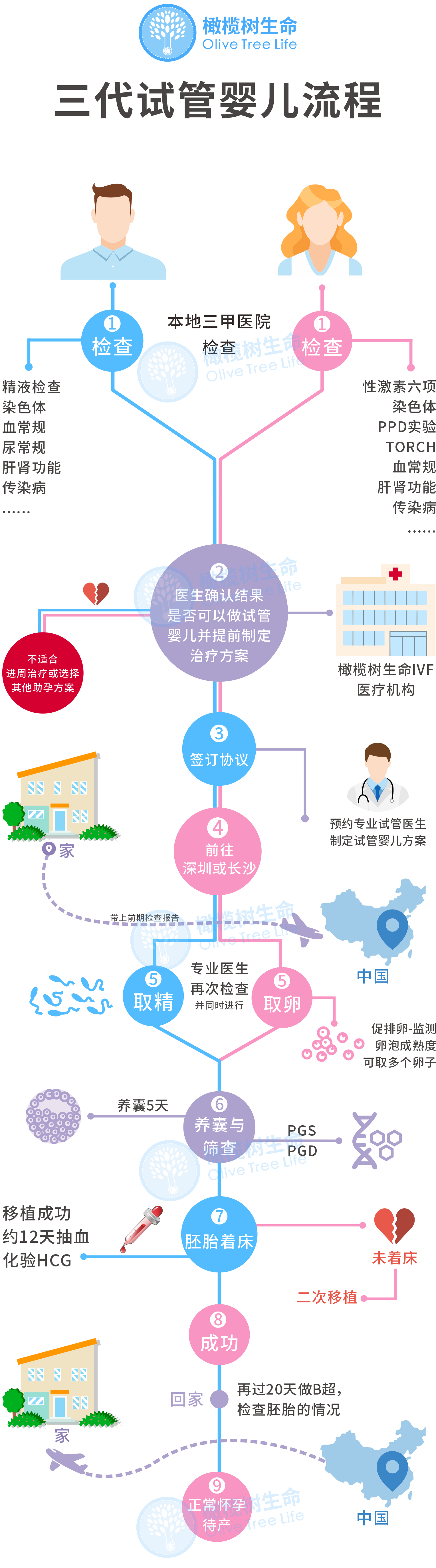 橄榄树生命试管流程