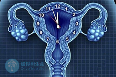 卵巢功能低下与卵巢早衰的区别，试管如何助孕？