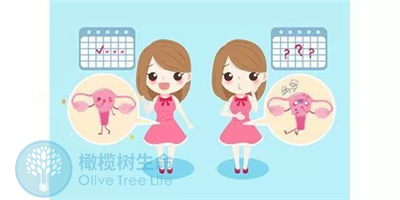 月经总是不稳定，做试管婴儿前要怎么调节？