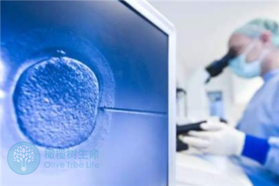胚胎培养成囊胚真的可以提高试管着床的成功率吗？