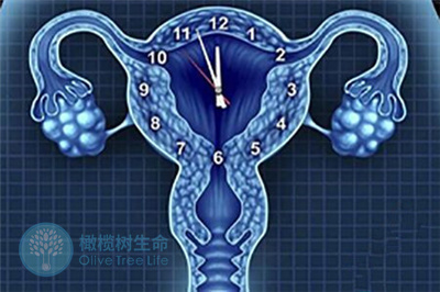 做试管婴儿从哪些方面保障大龄女性的健康好孕?