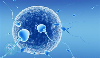 内分泌异常会不会影响试管促排卵？
