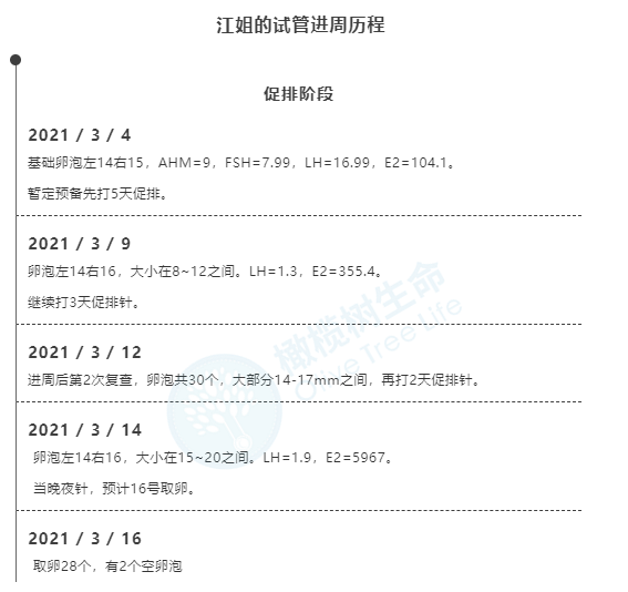江姐的试管进周历程