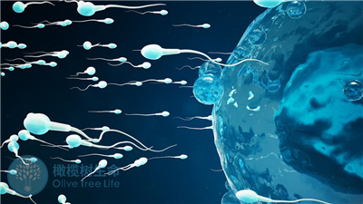 分析精卵不结合的原因，第二代试管的受精率是多少？