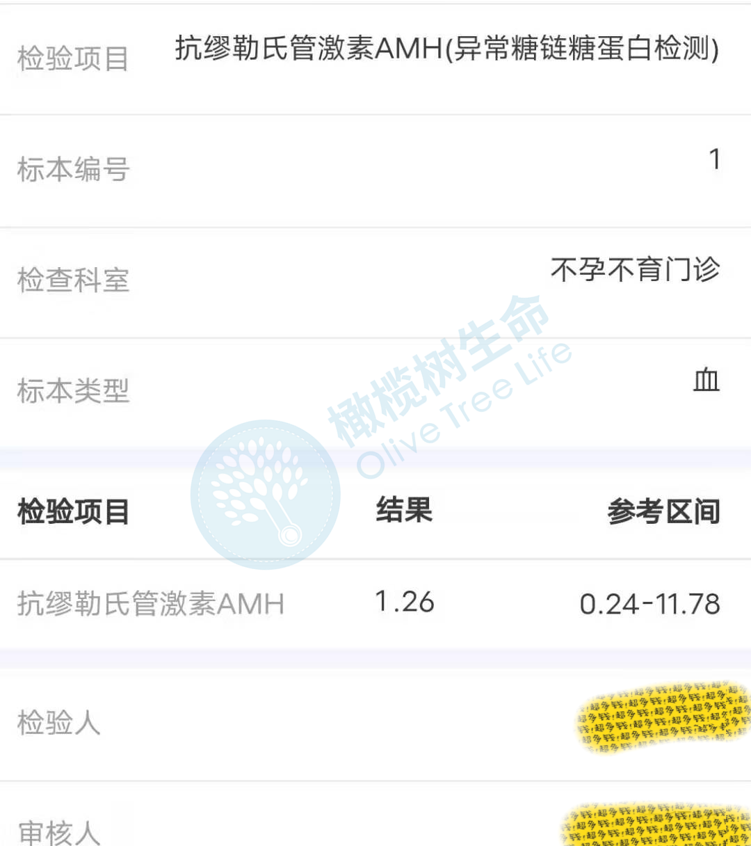 AMH检查结果