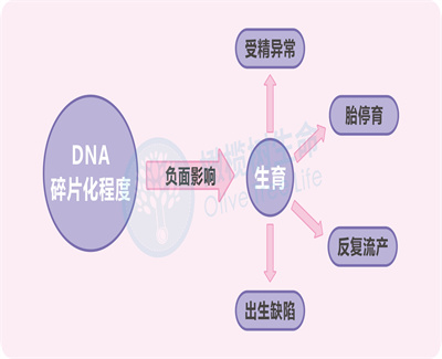 精子DNA碎片率程度.jpg
