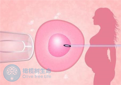 试管婴儿周期中是如何保障胚胎质量的？流程是怎样的？