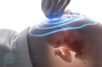 试管婴儿出生的宝宝比自然生育的宝宝更易早产吗？