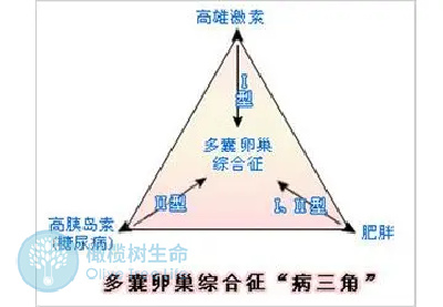 运动也会引起月经不规律？月经不规律就是多囊吗
