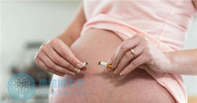 哪些因素会导致生育力受阻？试管婴儿如何定好孕方案