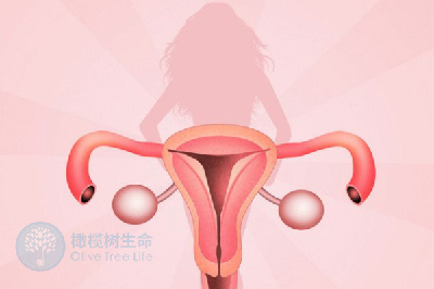 影响囊胚移植后着床时间之三要素