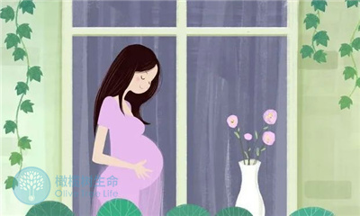 试管婴儿移植后，胎动是怎样的？准妈妈们了解一下！