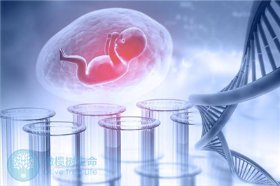 多次自然怀孕均生化，做试管婴儿能一次性成功吗？