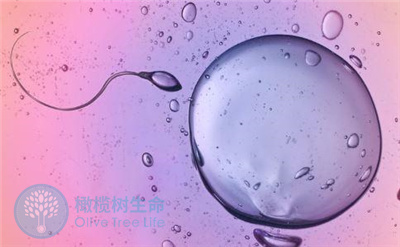 受精卵不能形成胚胎的原因是什么？该如何解决？