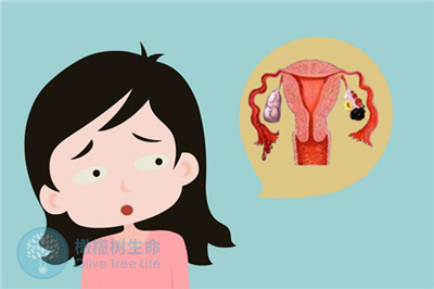 女性有卵巢囊肿做试管还能成功怀孕吗？
