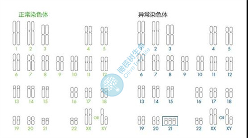 拯救高龄试管的「秘密武器」，你准备好了吗