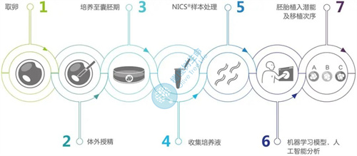 拯救高龄试管的「秘密武器」，你准备好了吗