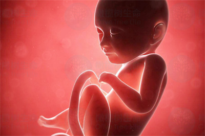 做三代试管婴儿会出现胎儿宫内发育迟缓的情况吗？